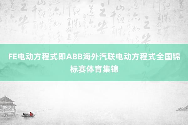 FE电动方程式即ABB海外汽联电动方程式全国锦标赛体育集锦