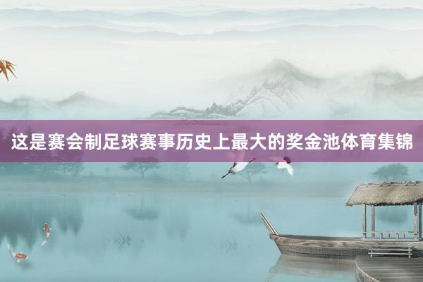 这是赛会制足球赛事历史上最大的奖金池体育集锦