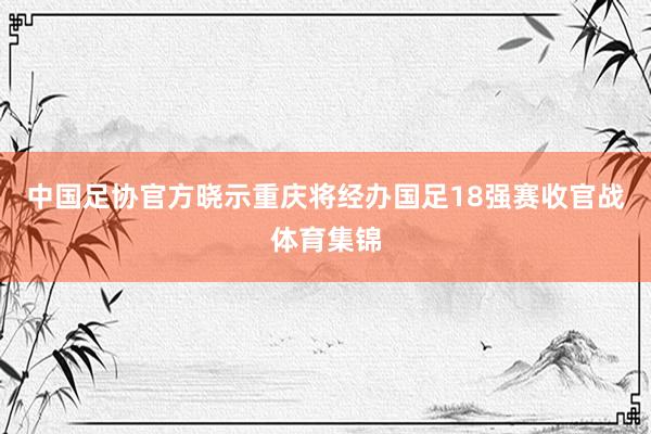 中国足协官方晓示重庆将经办国足18强赛收官战体育集锦
