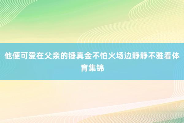 他便可爱在父亲的锤真金不怕火场边静静不雅看体育集锦