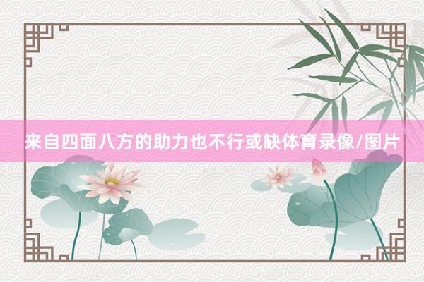 来自四面八方的助力也不行或缺体育录像/图片
