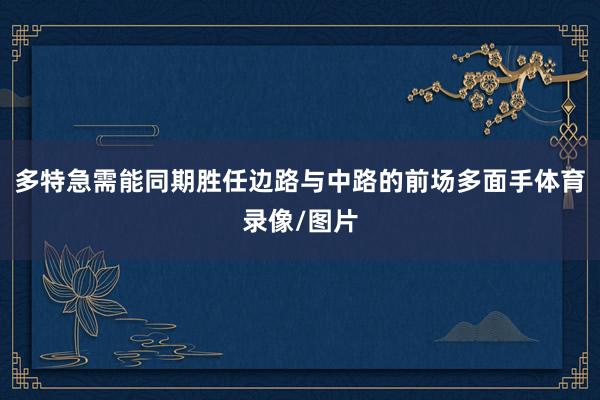 多特急需能同期胜任边路与中路的前场多面手体育录像/图片
