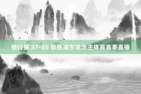 独行侠 87-85 险胜湖东说念主体育赛事直播