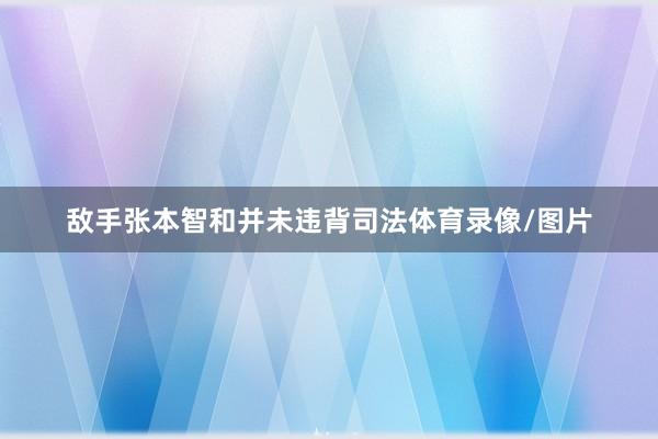 敌手张本智和并未违背司法体育录像/图片