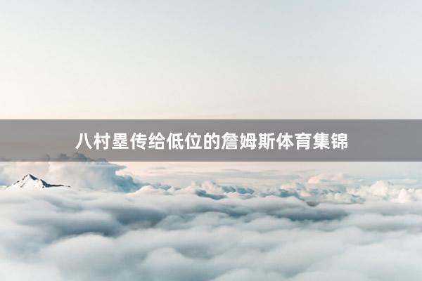 八村塁传给低位的詹姆斯体育集锦