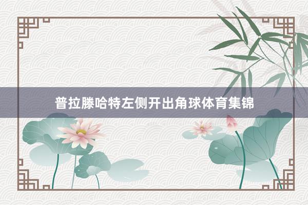 普拉滕哈特左侧开出角球体育集锦