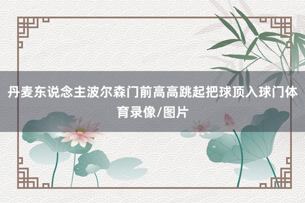 丹麦东说念主波尔森门前高高跳起把球顶入球门体育录像/图片
