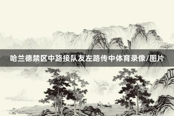 哈兰德禁区中路接队友左路传中体育录像/图片