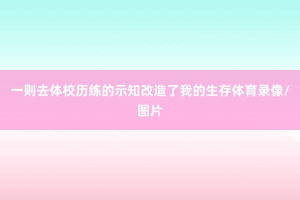 一则去体校历练的示知改造了我的生存体育录像/图片