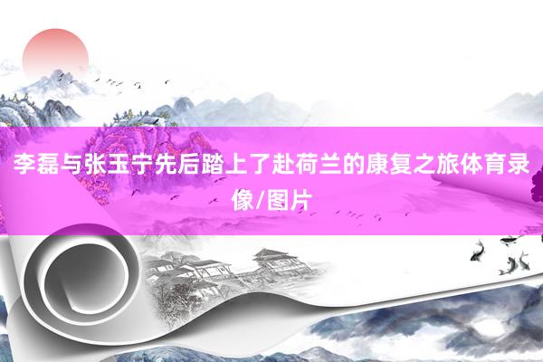 李磊与张玉宁先后踏上了赴荷兰的康复之旅体育录像/图片