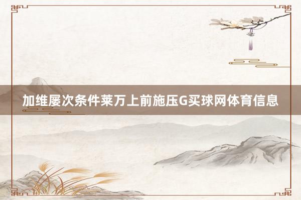 加维屡次条件莱万上前施压G买球网体育信息