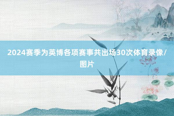 2024赛季为英博各项赛事共出场30次体育录像/图片
