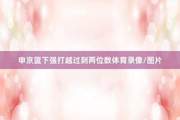 申京篮下强打越过到两位数体育录像/图片