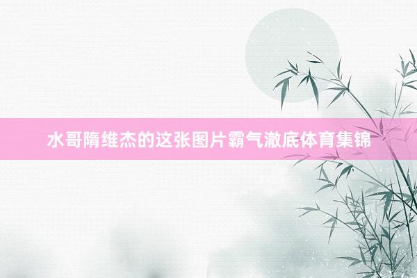 水哥隋维杰的这张图片霸气澈底体育集锦
