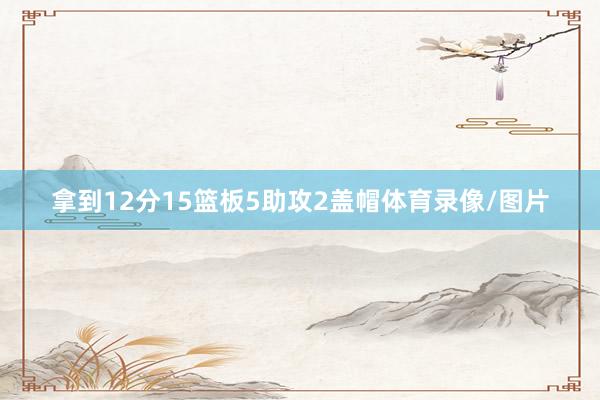 拿到12分15篮板5助攻2盖帽体育录像/图片