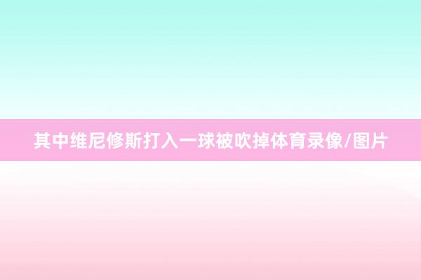 其中维尼修斯打入一球被吹掉体育录像/图片